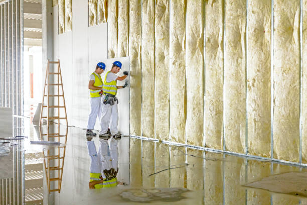 Best Insulation Maintenance and Repair in Smithville, TN